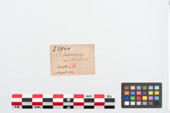 Etiketten zu Bronzekugelkopfnadel (NHMW-PRAE-023944)